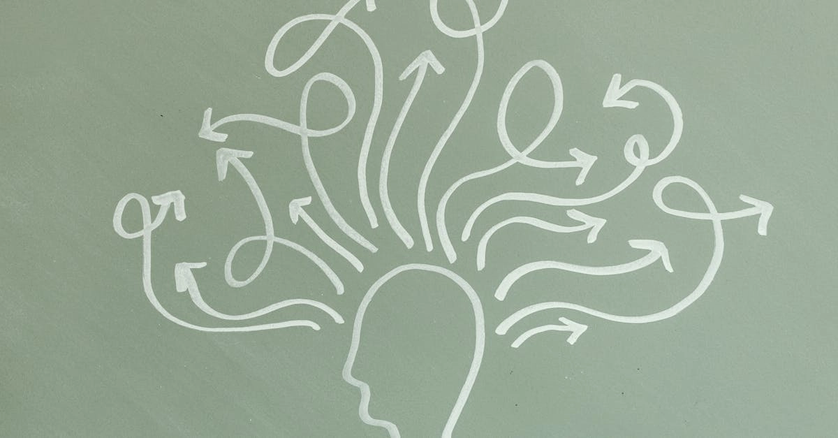 Нейропсихология азартных игр и реакция мозга на риск