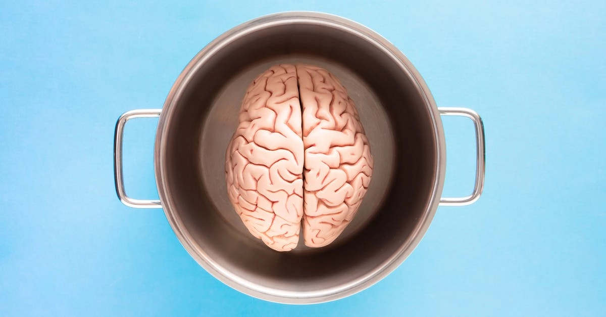Нейропсихология игровой активности и воздействие на мозг человека