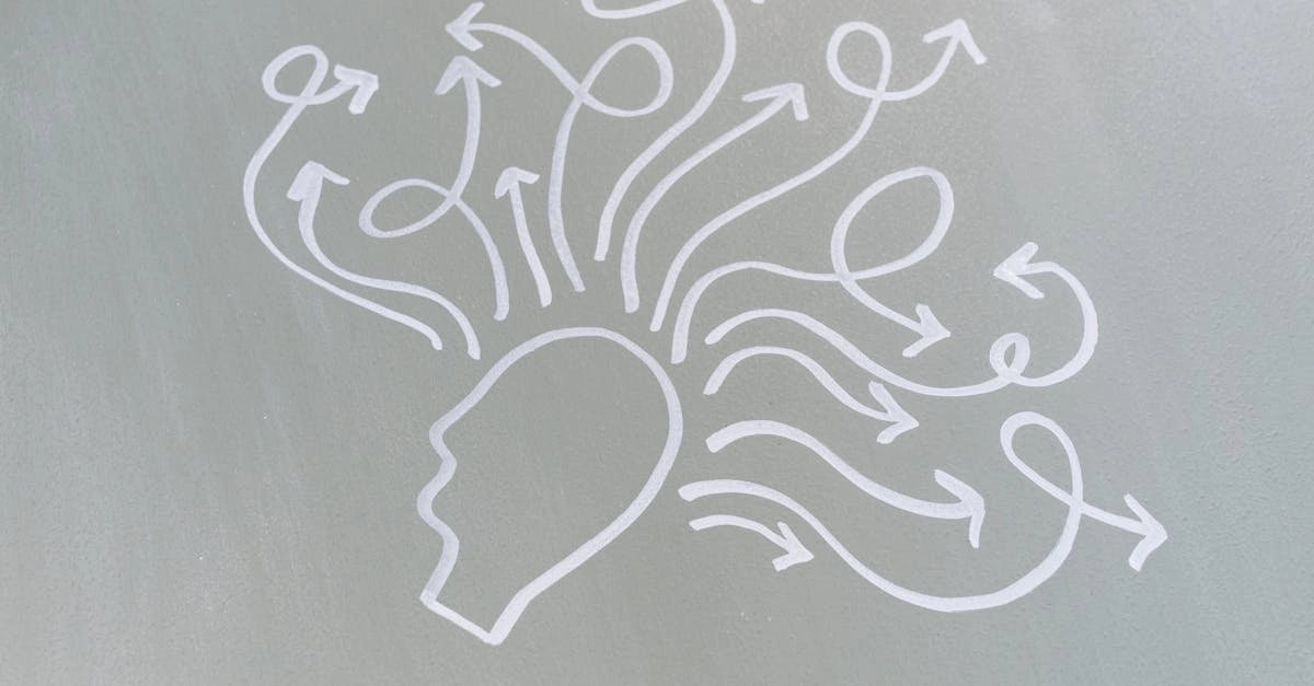 Нейронаучный анализ принятия решений в блэкджеке