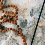 Нейропсихология бездепозитных бонусов казино