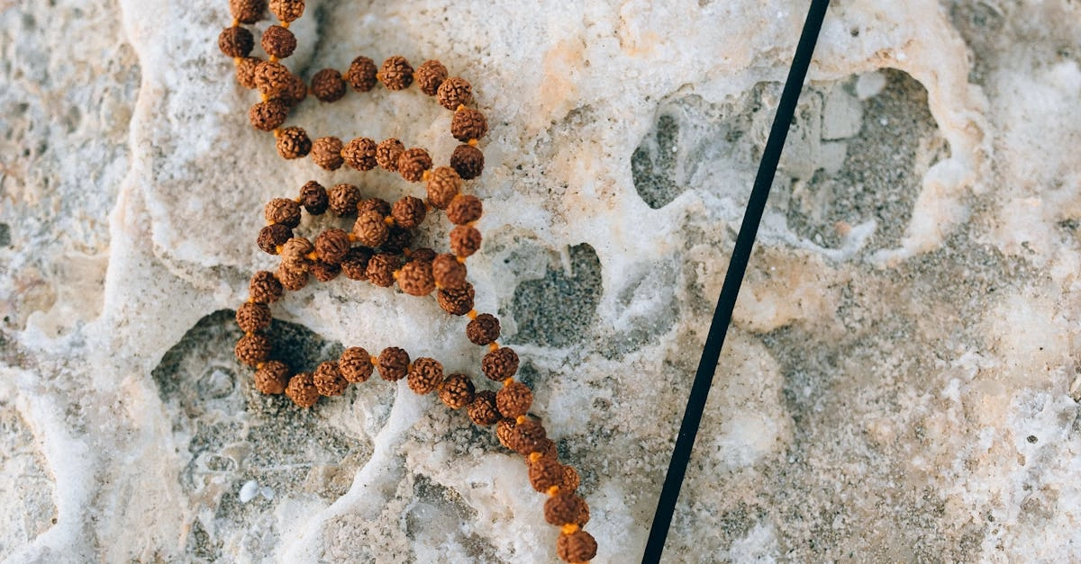 Нейропсихология бездепозитных бонусов казино