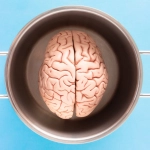 Нейропсихология азартных игр и механизмы воздействия на мозг человека